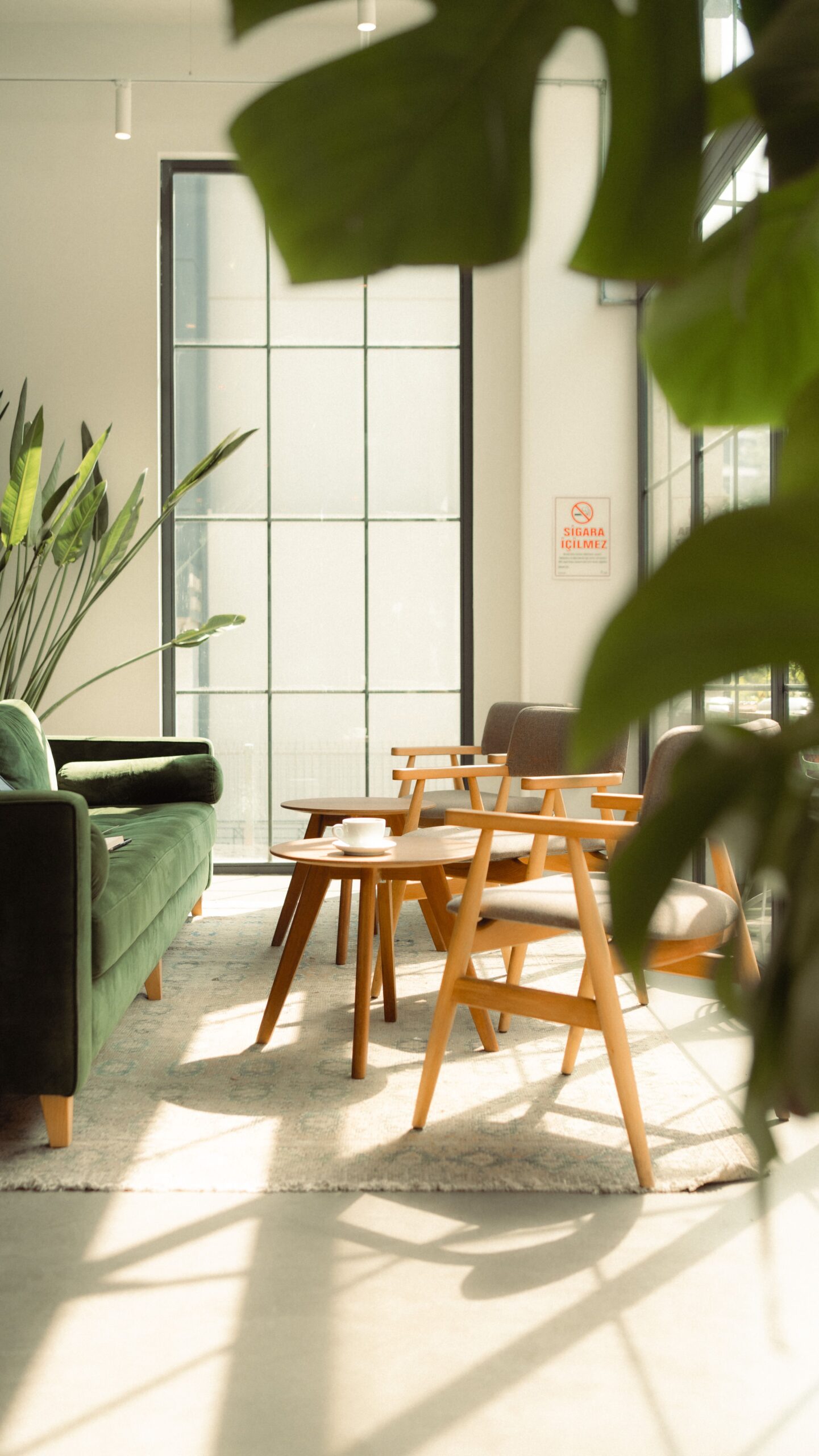 Sunlit modern interior design with green couch and wooden chairs in Istanbul.